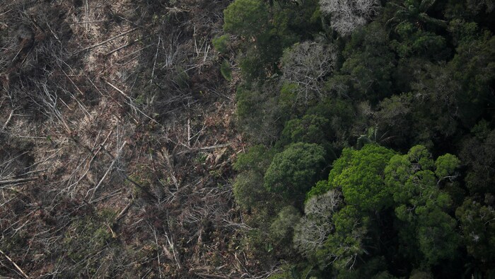 Vue aérienne d'une parcelle déboisée de l'Amazone près de Porto Velho, État de Rondonia, Brésil, 22 août 2019.