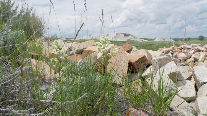 Des briques laissées à l'abandon près de l'ancienne briqueterie de Claybank, en Saskatchewan, en juillet 2026.