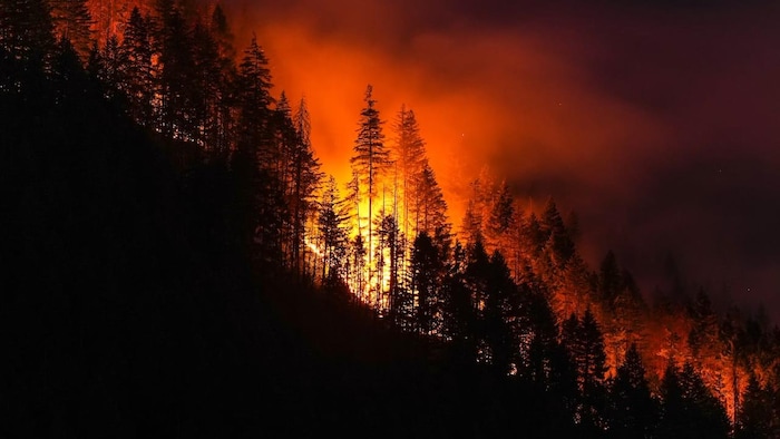 Les flammes engloutissent une forêt sur le flanc d’une montagne.