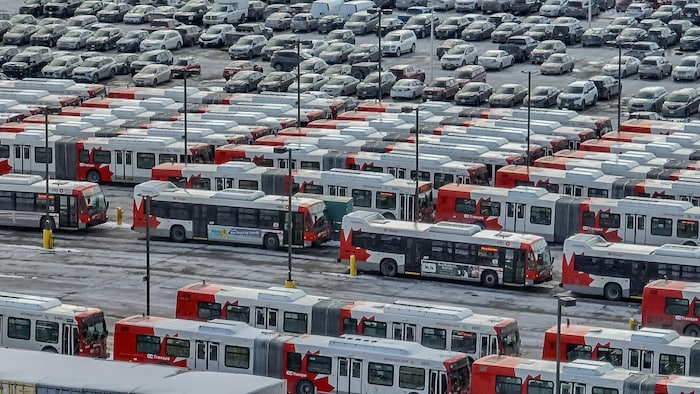 Plusieurs bus stationnés.
