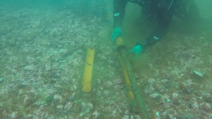 Un plongeur répare un câble installé au fond de l'eau.