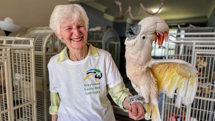 Une dame dans un refuge pour oiseaux exotiques a un cacatoès sur son bras.