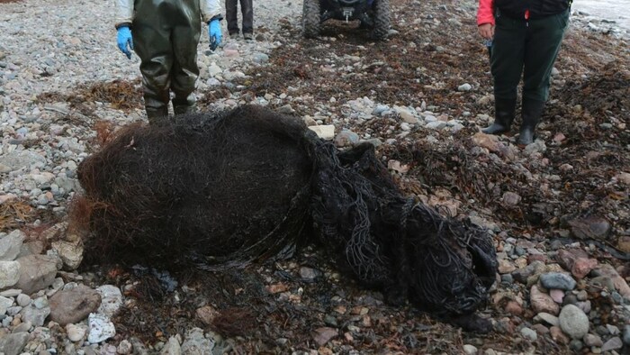 Une masse noire de filet et de cordage entremêlé.