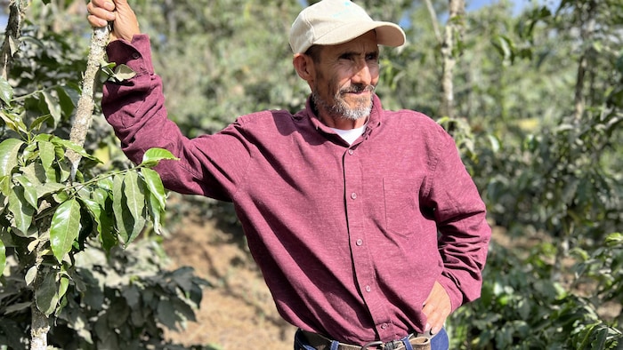 Efraim Urquía dans sa plantation.