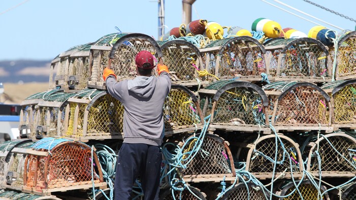 Un pêcheur empile des cages à homard.