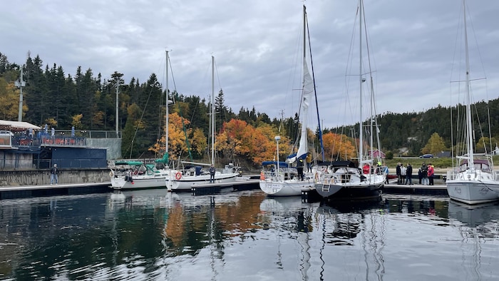 Une vue d'ensemble de la marina de Tadoussac prise depuis le quai. Plusieurs voiliers sont amarrés aux pontons flottants.