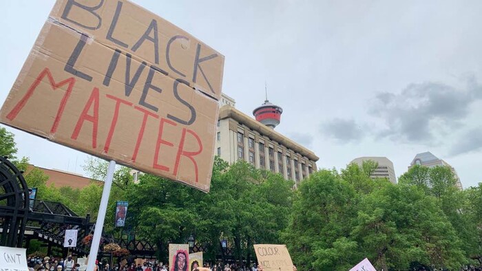 Des centaines de personnes réunies dans un parc tiennent des affiches. On peut notamment y lire Black Live Matter.
