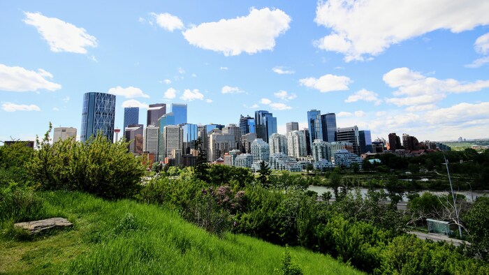 La ville de Calgary depuis un parc, avec en premier plan beaucoup de verdure.