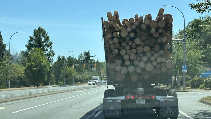 Un camion transportant du bois sur l'île de Vancouver.