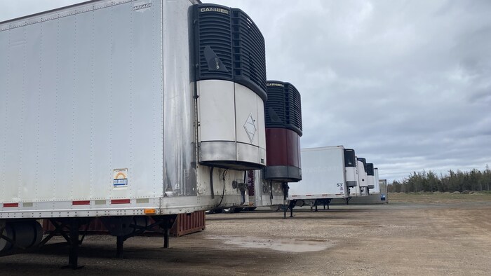Des camions de livraison dans le stationnement de l'usine de transformation McGraw Seafood à Tracadie.