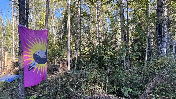 Un drapeau avec une femme représentée de profil.
