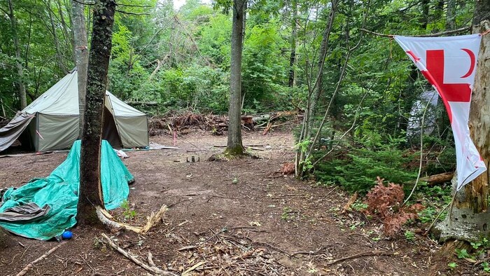 Des tentes et quelques objets éparpillés sur le sol dans la forêt.