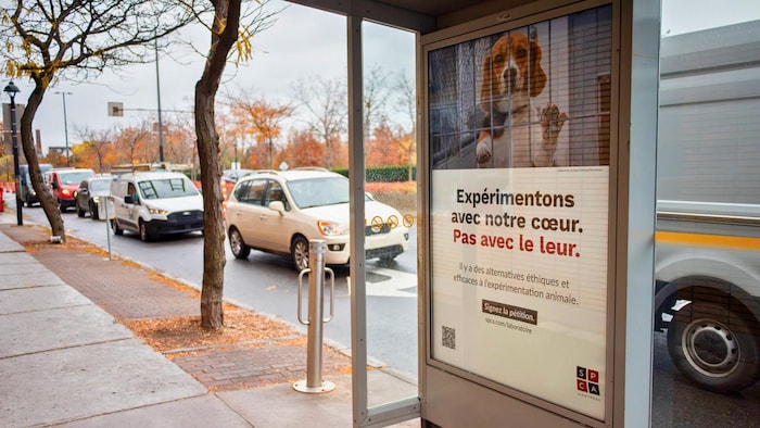  « Expérimentons avec notre cœur. Pas avec le leur. »