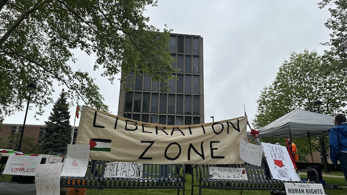 Des pancartes érigées devant l'Université de Windsor.