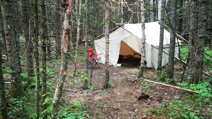 Un campement autochtone en forêt.