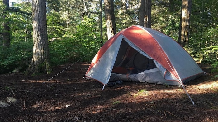 Une tente est plantée dans une forêt.