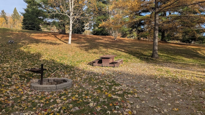 Un site de camping avec une table à pique-nique et un rond à feu de camp.
