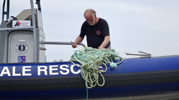 Un membre de l'équipe de sauvetage sur le bateau coupe le cordage dans lequel la baleine était coincée.