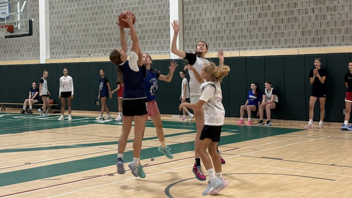 Des joueuses de basketball sautent au rebond pour attraper le ballon.