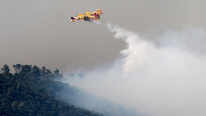 Un Canadair deja caer su carga de agua sobre un bosque en llamas.