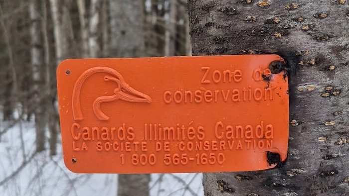 Une étiquette sur un arbre qui indique l'emplacement d'une zone de conservation de Canards Illimités Canada.