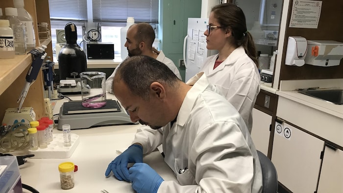 Des chercheurs dans un laboratoire du CHUS.