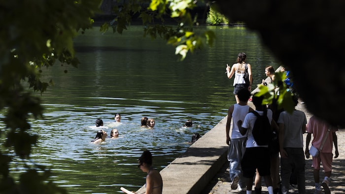 Students plunge into the Saint-Martin canal. Similarly, millions europeans undergo exceptional early millions europeans undergo exceptional early new