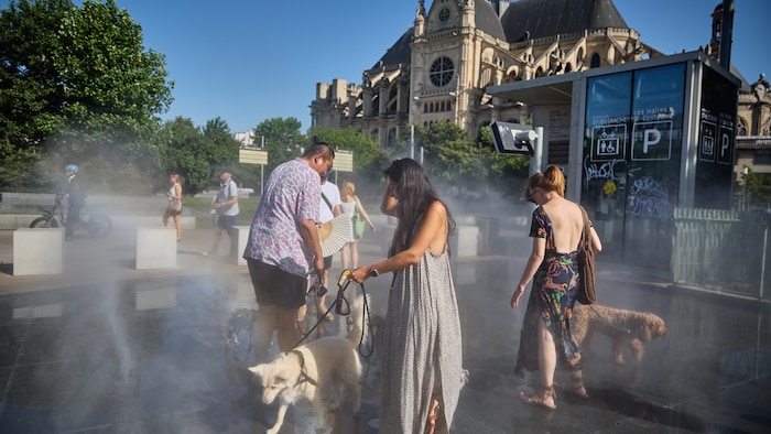 Des personnes et leurs animaux se rafraîchissent de la chaleur dans une fontaine devant l'église Saint-Eustache dans le centre de Paris.