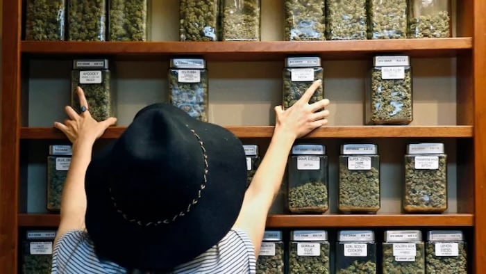 Una tienda de marihuana en Canadá ofrece distintas variedades de la hierba.