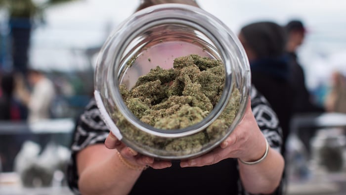 Une personne se cache le visage derrière une jarre ouverte et présentée à la caméra. Cette jarre contient du cannabis.