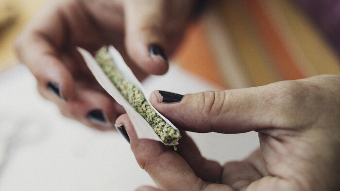 Mains d'une femme roulant une cigarette de marijuana.