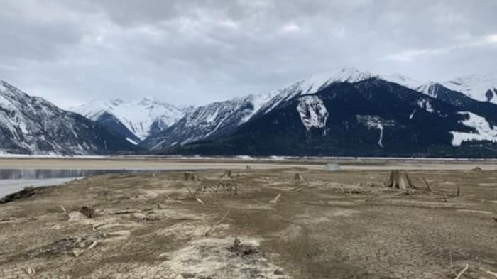 Un terrain vague avec des montagnes enneigées à l'arrière.