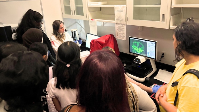 Des jeunes observent un embryon de souris au microscope, au Centre de recherche du CHU Sainte-Justine.