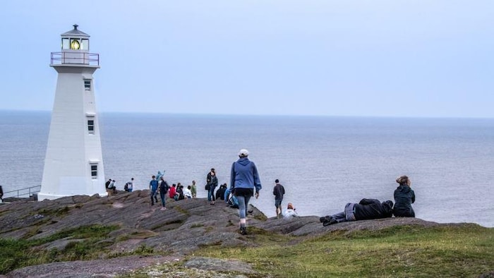 Des touristes observent la vue sur le bord de la falaise de cap Spear.