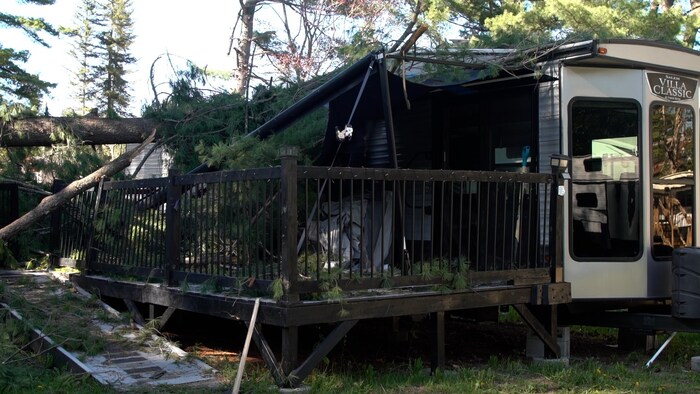 un arbre affaissé sur une caravane.