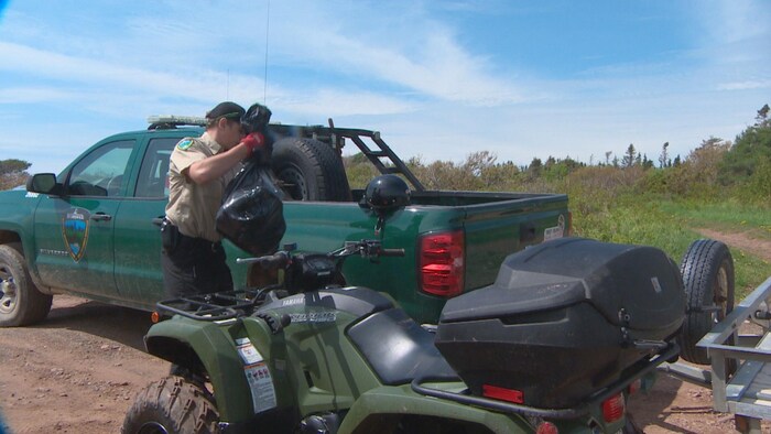 Un agent du ministère des Ressources naturelles ramasse des carcasses de fous de Bassan sur l'île Lamèque, dans la Péninsule acadienne.