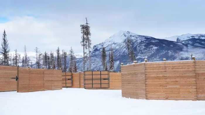 Des clôtures sont disposées devant une montagne enneigée. 