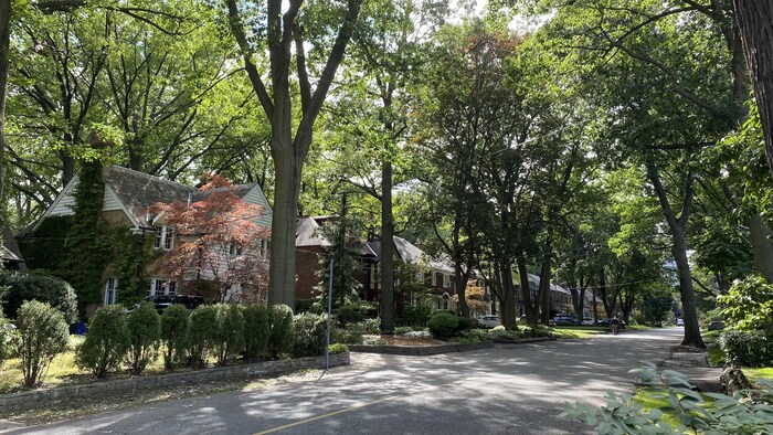 Une rue fermée, bordée d'arbres, avec de grandes et luxueuses maisons dans le quartier Lambton Mills de Toronto.