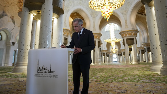 Le premier ministre Mark Carney.