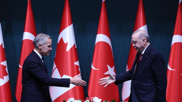 Les deux hommes d'État s'approchent pour se serrer la main.