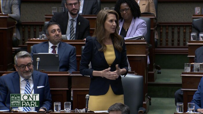 Caroline Mulroney parle en Chambre. Le ministre Calandra et quelques autres députés sourient derrière elle.