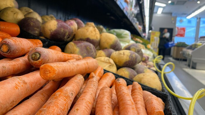 Des carottes dans une épicerie.