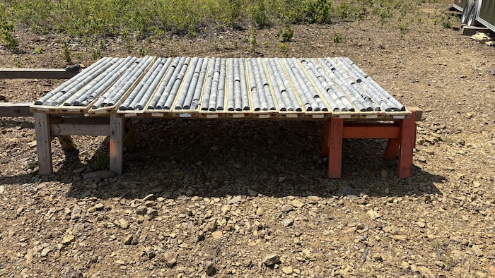 Des carottes posées sur une table.