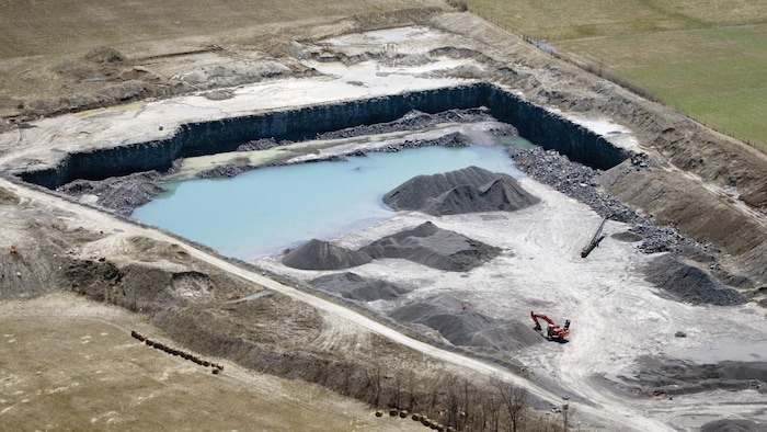 Tortues : tout ce que l'on sait à l'instant — image 6