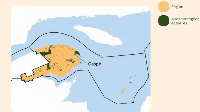 Une carte.