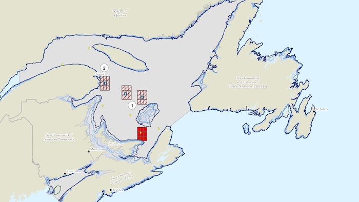 Quatre zones quadrillées dans le golde du Saint-Laurent. 
