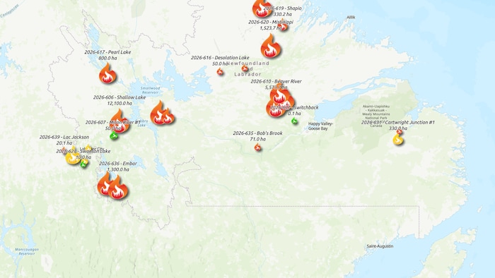Une carte des incendies de forêt en date du 10 juillet 2026 au Labrador.