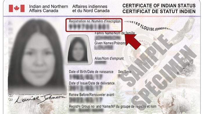 Image d'un Certificat de statut d'Indien.
