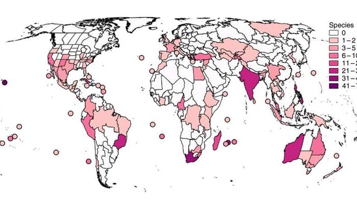 Carte du monde montrant le nombre d’espèces de plantes disparues depuis 1750. 