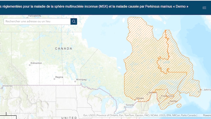 Une carte du Canada, les provinces de l'Atlantique et le Québec sont en orange pour démontrer les zones déclarées.